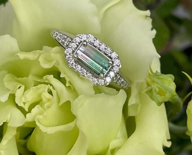 From the Geminar to the Jewelry Box - Watermelon Tourmaline Halo